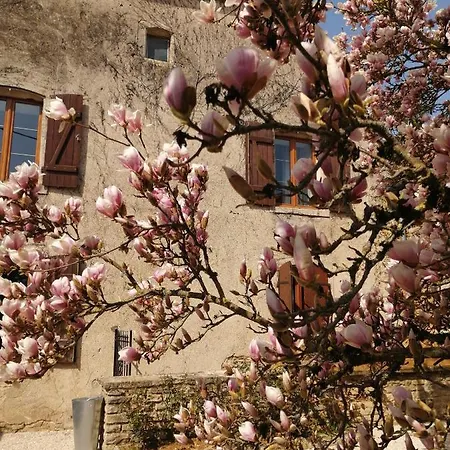 Aux Refuges Des Catotiers - A Ciel Ouvert & La Cour Interieure Semesterbostad *