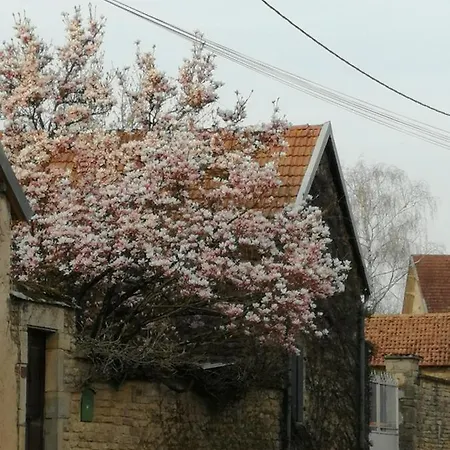 Aux Refuges Des Catotiers - A Ciel Ouvert & La Cour Interieure Cusey