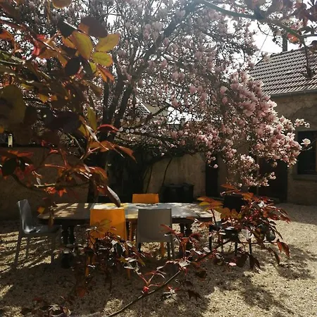 Aux Refuges Des Catotiers - A Ciel Ouvert & La Cour Interieure * Cusey
